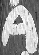 Wall_Art_Alphabet_Photography_Art_ 111